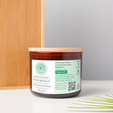 Pfefferminze Duftkerze